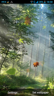 Download Forest Live Wallpaper